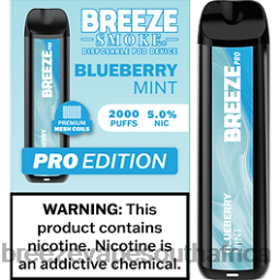 Breeze Vape Cost | Breeze Pro 2000 Puffs Blueberry Mint 6L6DH33