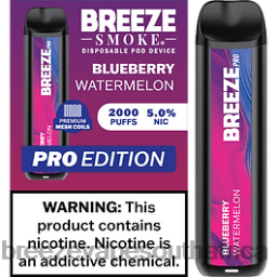 Breeze Vape Flavors | Breeze Pro 2000 Puffs Blueberry Watermelon 6L6DH32