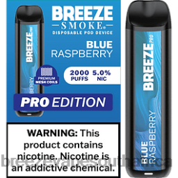 Breeze Vape Website | Breeze Pro 2000 Puffs Blue Raspberry 6L6DH35